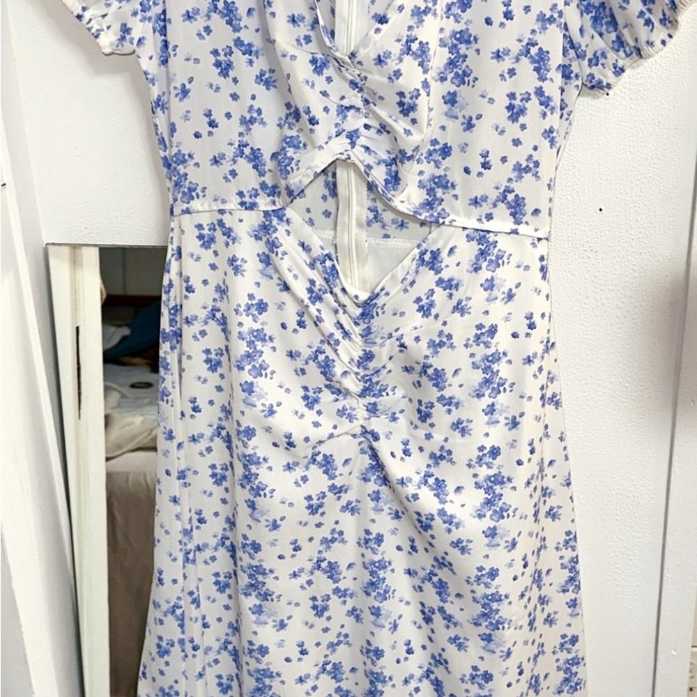 Floral Blue and White Dress
